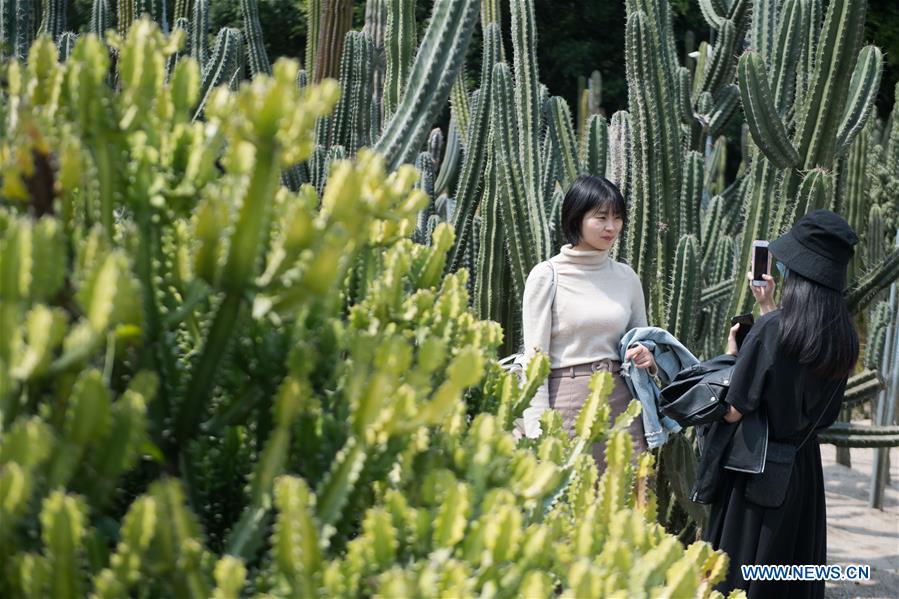 #CHINA-FUJIAN-XIAMEN-SUCCULENT PLANTS (CN)