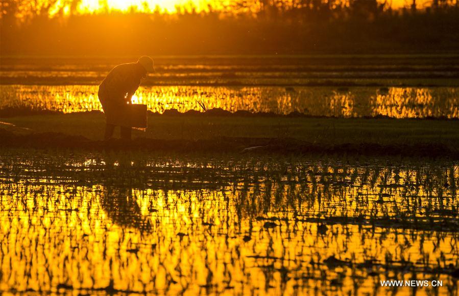 Xinhua Headlines: Preventive approach: China's effective means to combat terrorism