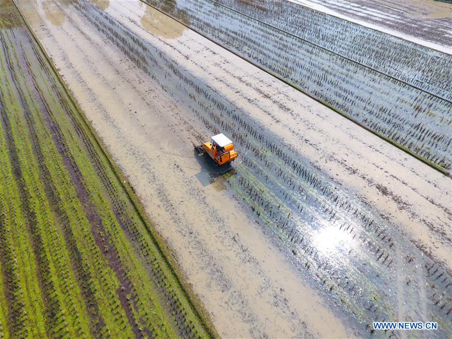 #CHINA-HUNAN-SPRING-FARMING (CN)