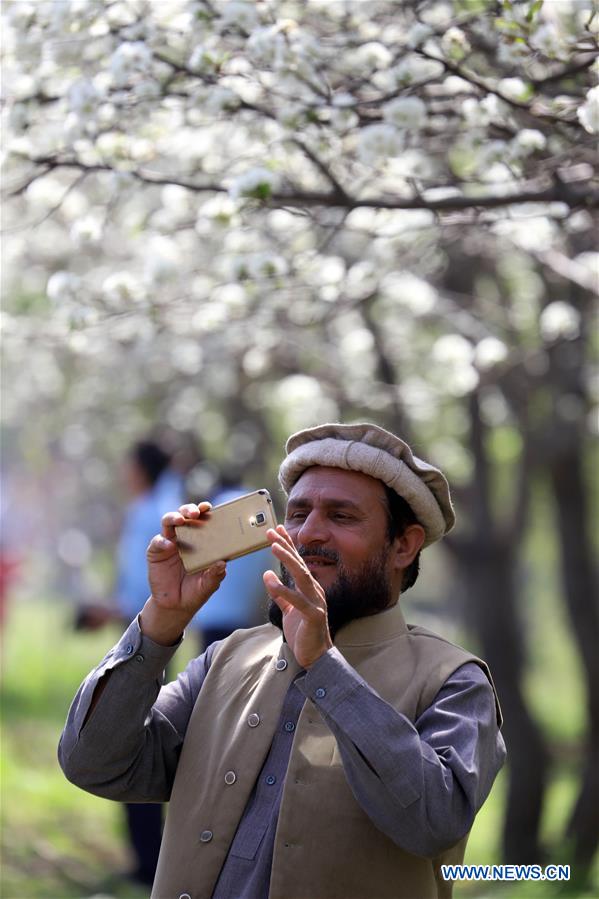 PAKISTAN-ISLAMABAD-SPRING-FLOWER