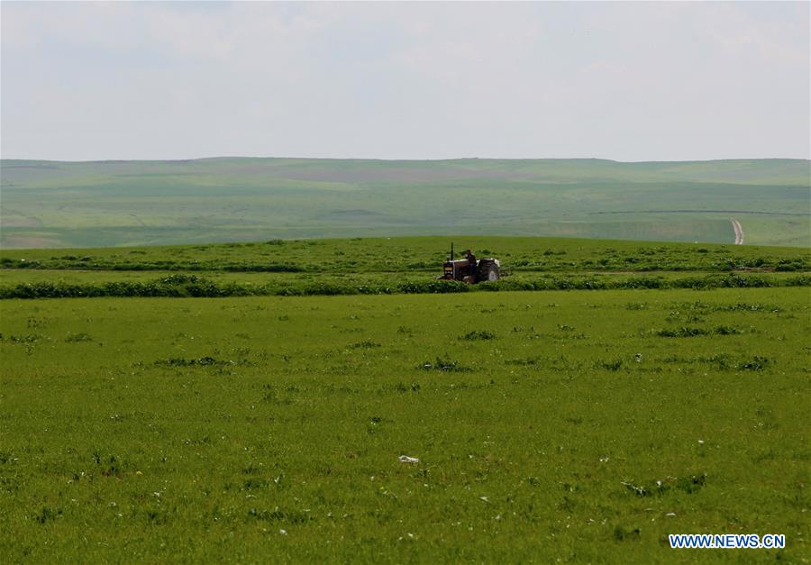 IRAQ-NINEVEH-REHABILITATION-IRRIGATION