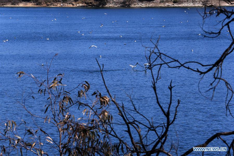 GREECE-ATHENS-WORLD WATER DAY-MARATHON LAKE
