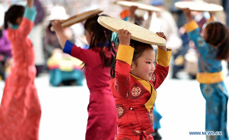 CHINA-TIBET-LHASA-DEMOCRATIC REFORM-60TH ANNIVERSARY (CN)