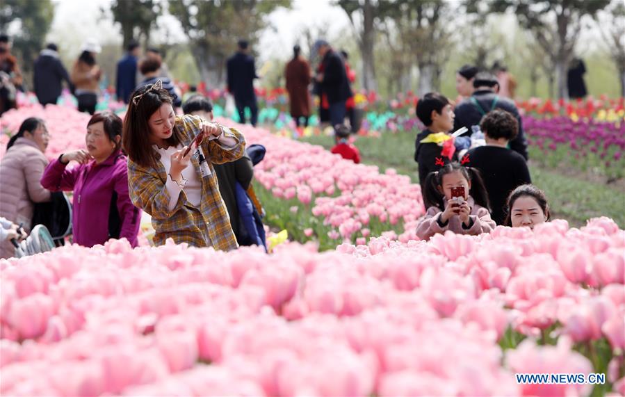 CHINA-SHANGHAI-SPRING (CN)