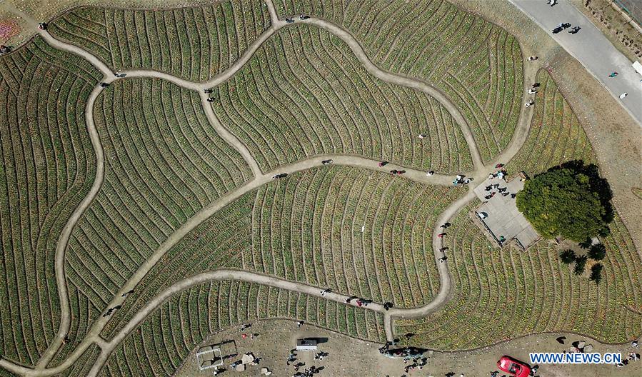 CHINA-SHANGHAI-SPRING (CN)