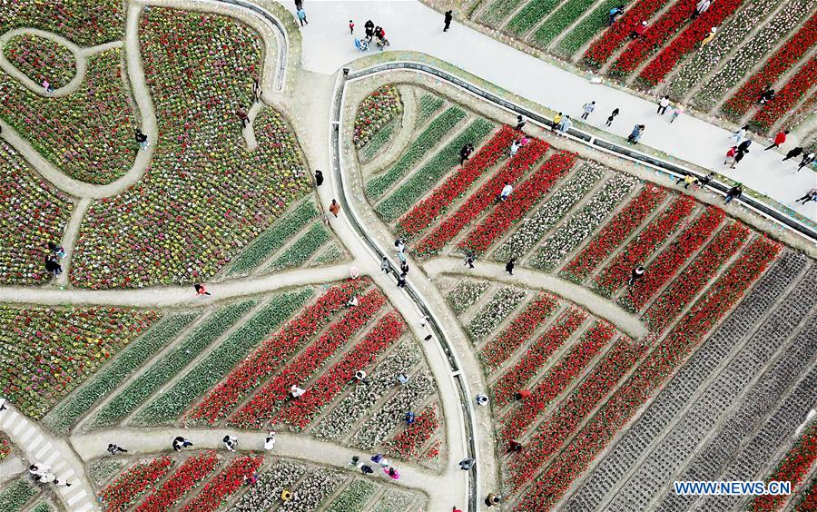 CHINA-SHANGHAI-SPRING (CN)