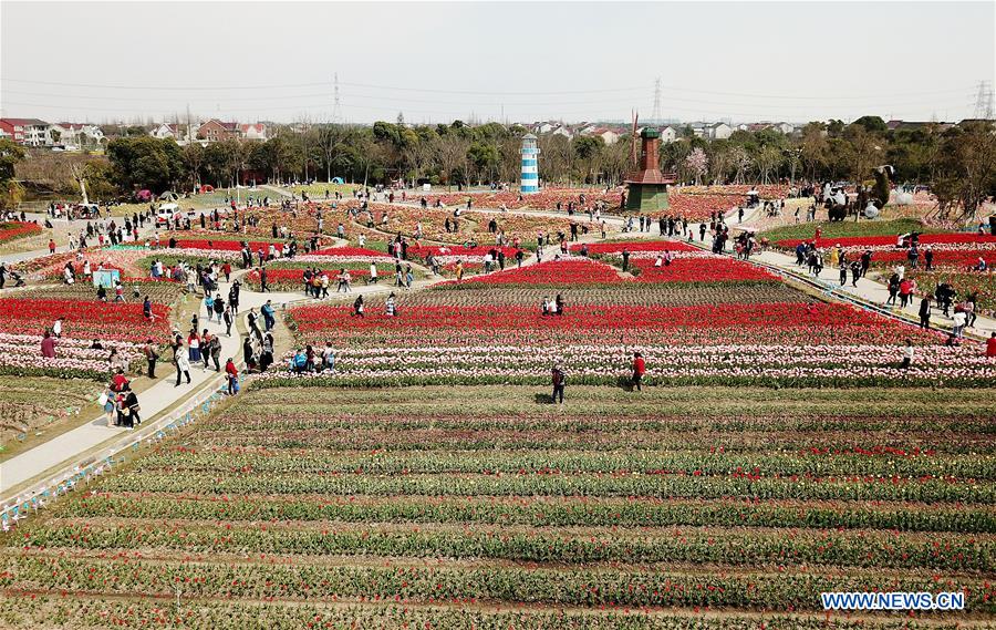CHINA-SHANGHAI-SPRING (CN)