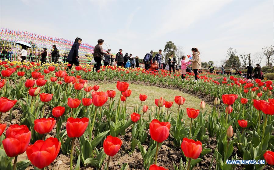 CHINA-SHANGHAI-SPRING (CN)