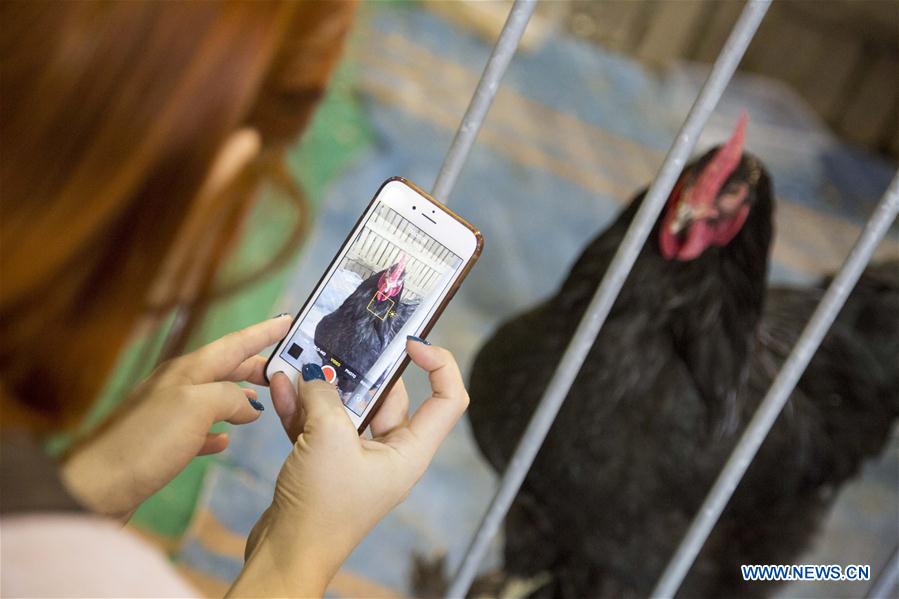 LATVIA-RIGA-INT'L PET EXHIBITION