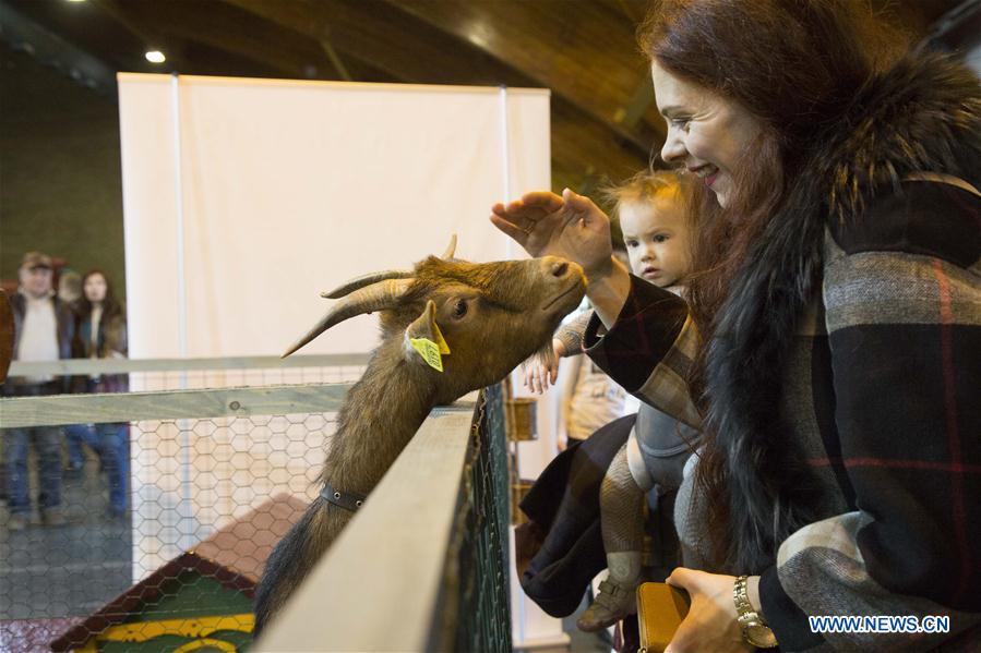 LATVIA-RIGA-INT'L PET EXHIBITION