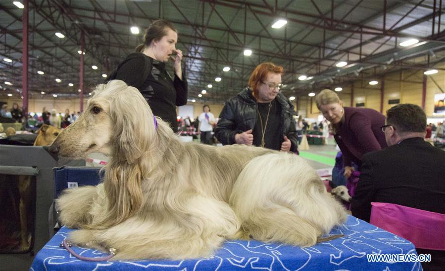 LATVIA-RIGA-INT'L PET EXHIBITION