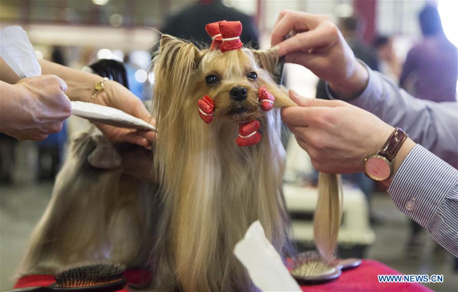 LATVIA-RIGA-INT'L PET EXHIBITION