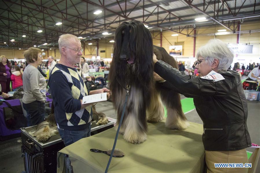 LATVIA-RIGA-INT'L PET EXHIBITION