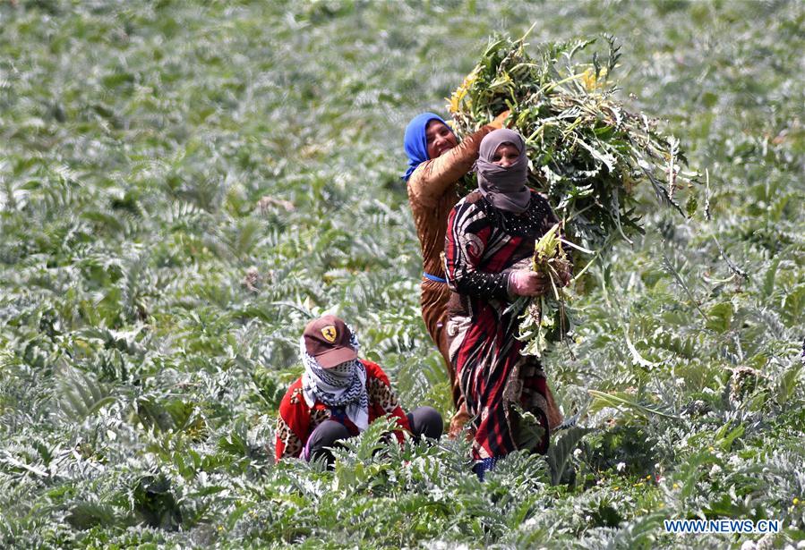 SYRIA-DAMASCUS-EASTERN GHOUTA-SPRING