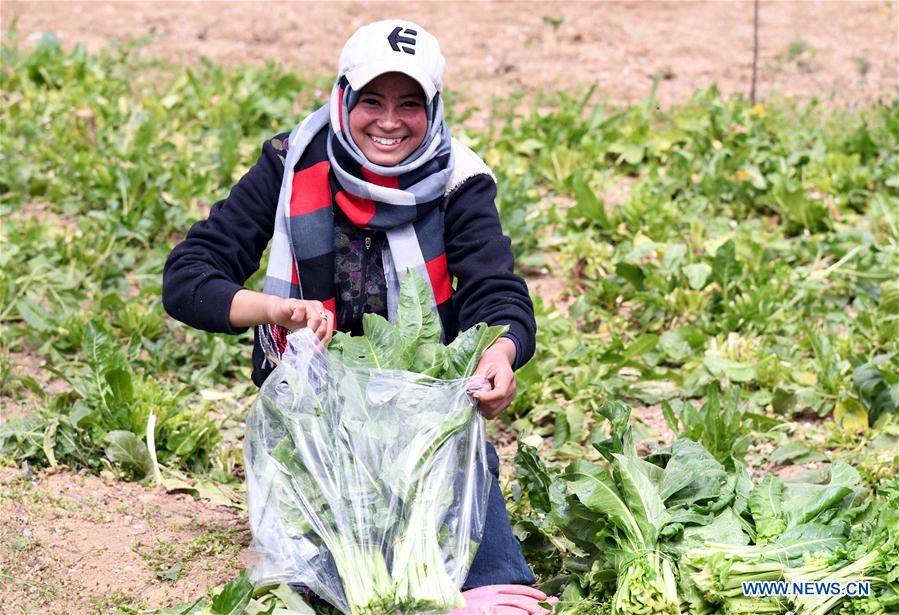 SYRIA-DAMASCUS-EASTERN GHOUTA-SPRING