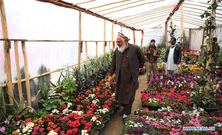 AFGHANISTAN-KABUL-FLOWER SHOP