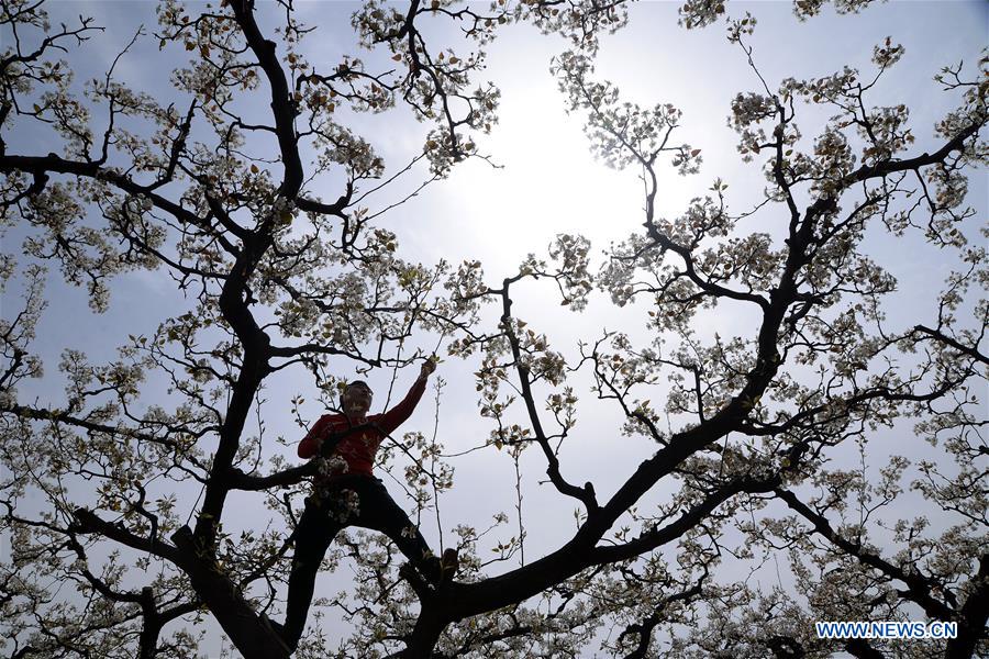 XINHUA PHOTOS OF THE DAY