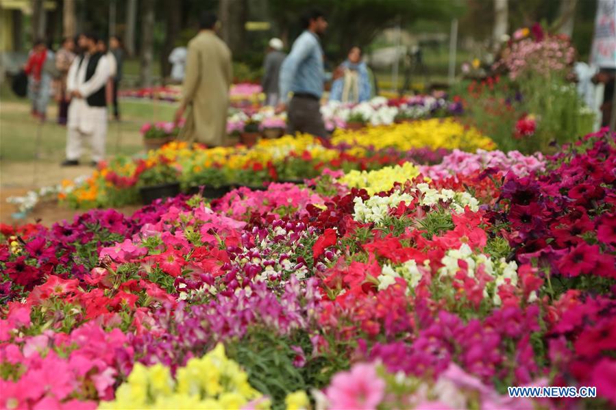 PAKISTAN-ISLAMABAD-SPRING-FLOWER SHOW