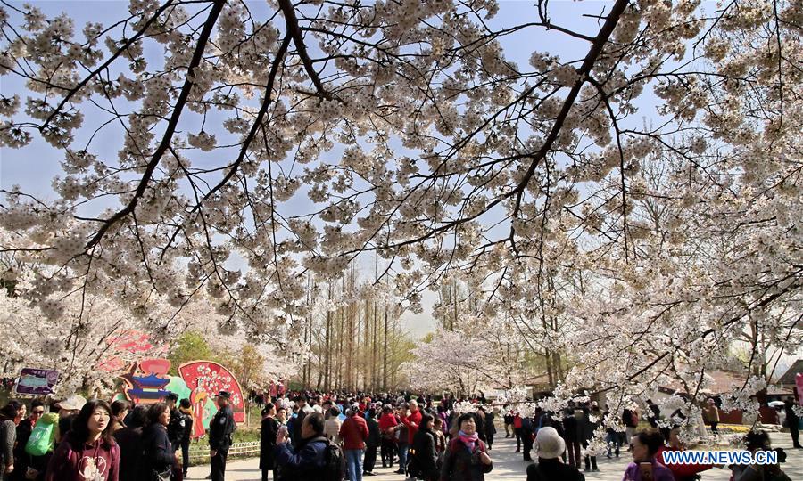 #CHINA-SPRING-FLOWERS(CN)