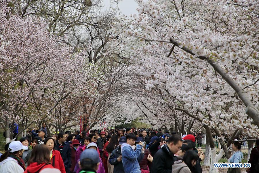 #CHINA-SPRING-FLOWERS(CN)