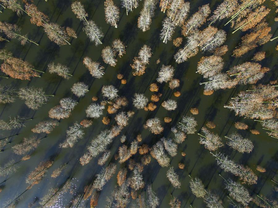 CHINA-WETLAND-PROTECTION (CN)