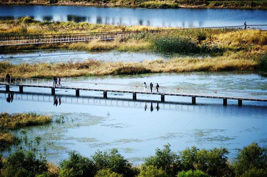 CHINA-WETLAND-PROTECTION (CN)