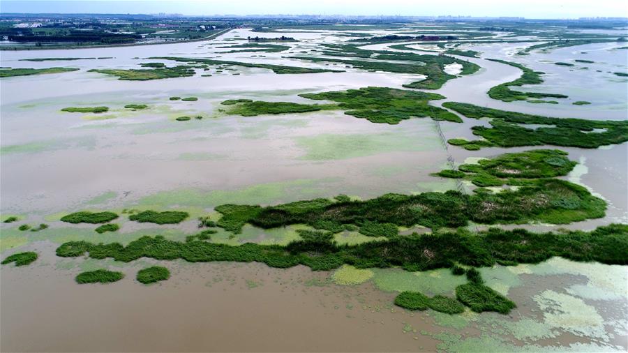 CHINA-WETLAND-PROTECTION (CN)