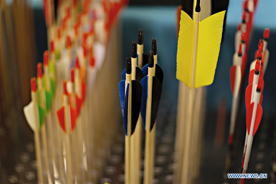 SWITZERLAND-LUCERNE-WEAPONS-FAIR