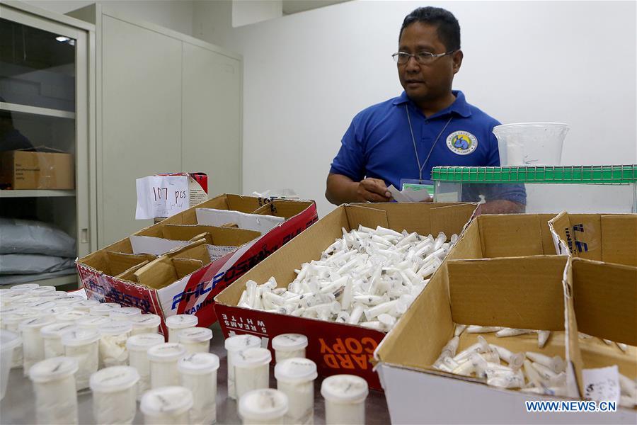 PHILIPPINES-QUEZON CITY-CONFISCATED VENOMOUS TARANTULAS