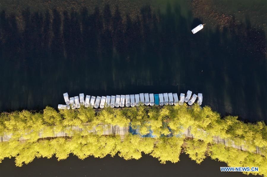 XINHUA PHOTOS OF THE DAY