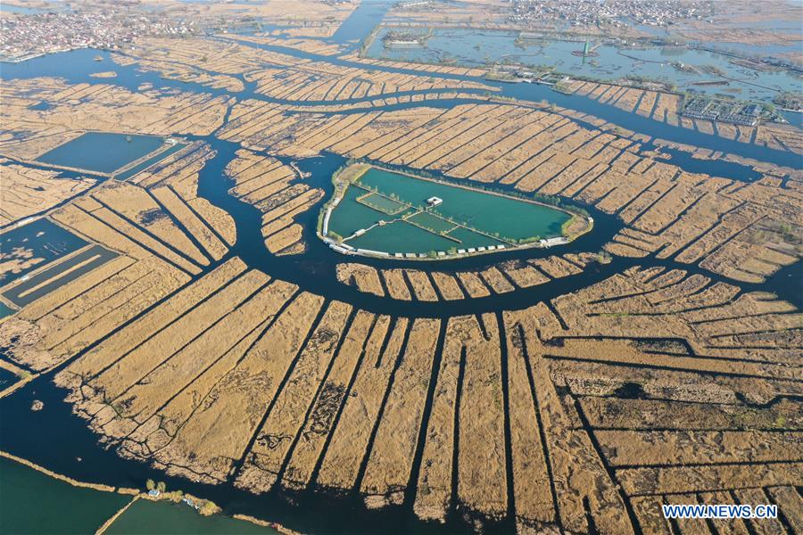 XINHUA PHOTOS OF THE DAY