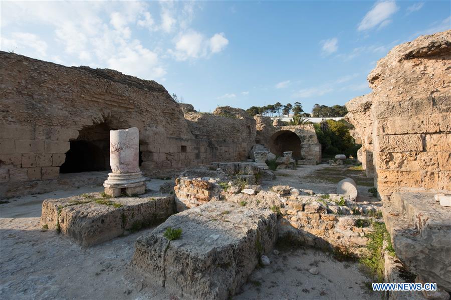 TUNISIA-TUNIS-CARTHAGE-ANTONINE BATHS