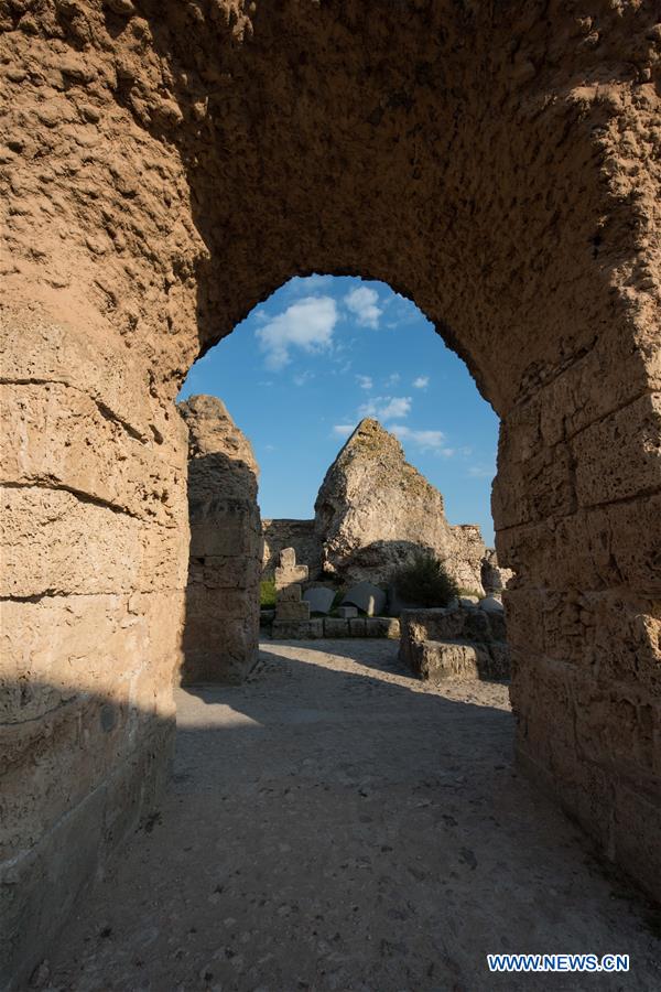 TUNISIA-TUNIS-CARTHAGE-ANTONINE BATHS