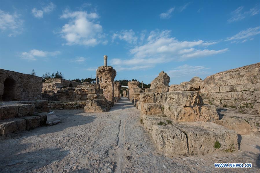 TUNISIA-TUNIS-CARTHAGE-ANTONINE BATHS
