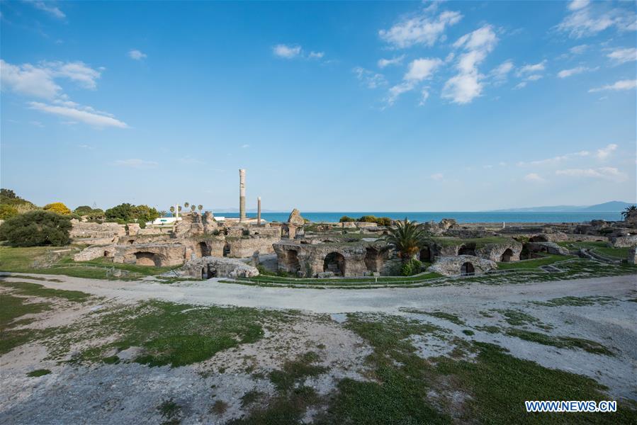 TUNISIA-TUNIS-CARTHAGE-ANTONINE BATHS