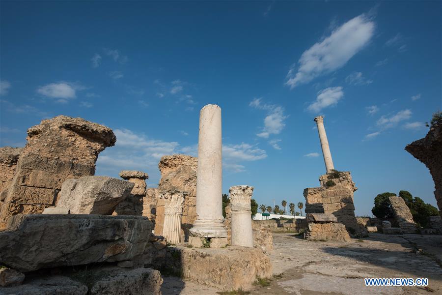 TUNISIA-TUNIS-CARTHAGE-ANTONINE BATHS