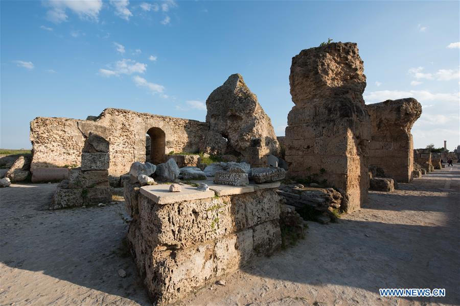 TUNISIA-TUNIS-CARTHAGE-ANTONINE BATHS