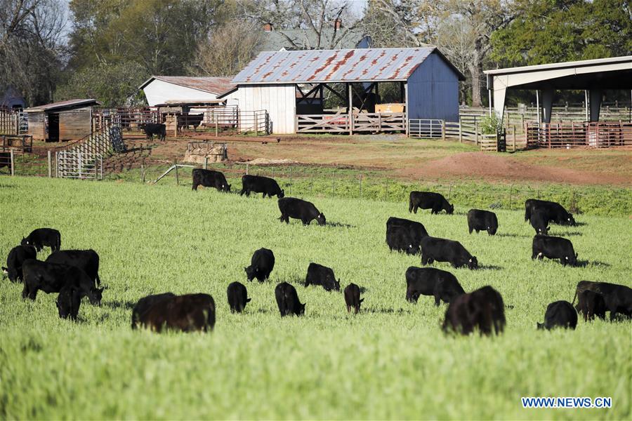 U.S.-ATLANTA-AGRICULTURAL OFFICIAL-INTERVIEW