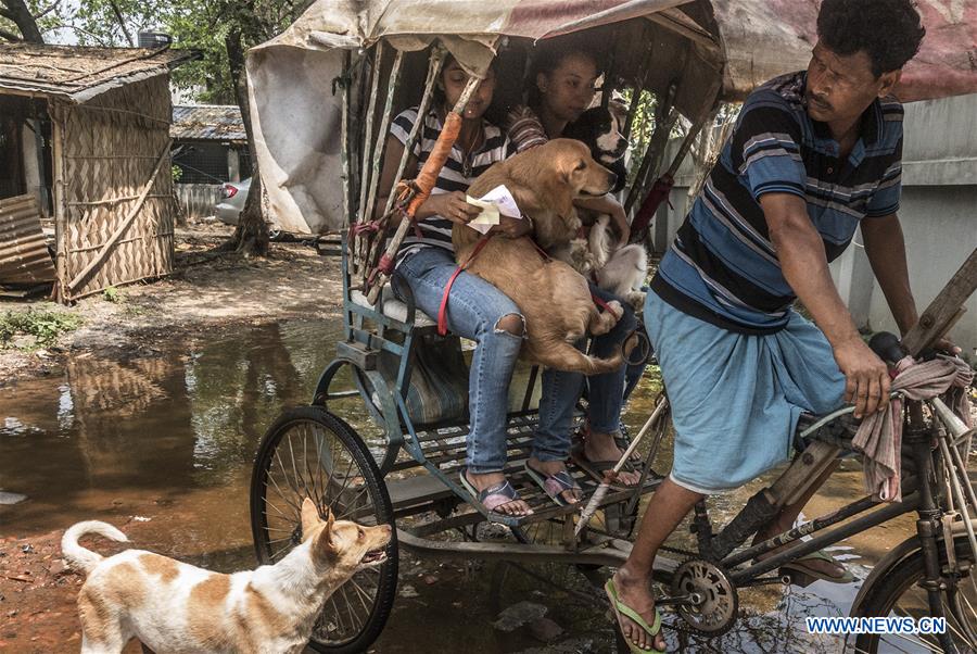 INDIA-KOLKATA-STRAY ANIMALS