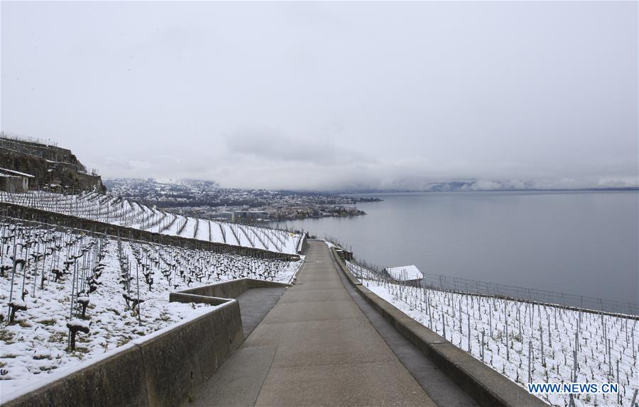 SWITZERLAND-LAVAUX-SNOW