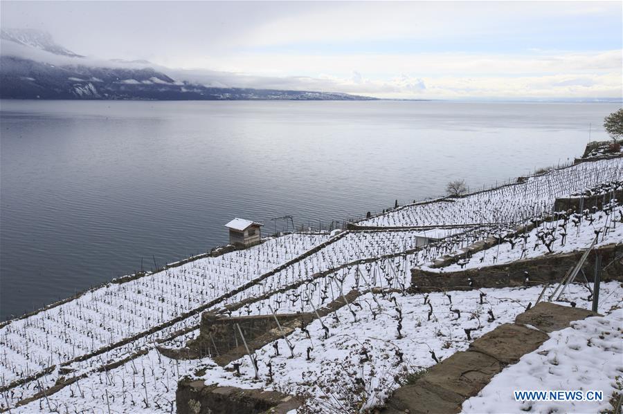 SWITZERLAND-LAVAUX-SNOW