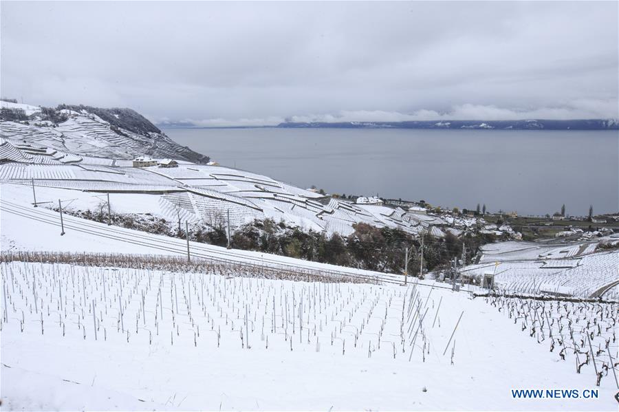 SWITZERLAND-LAVAUX-SNOW