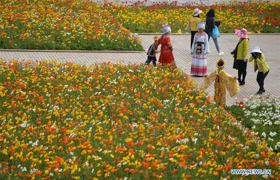 CHINA-YUNNAN-KUNMING-WORLD HORTICULTURE EXPOSITION (CN)