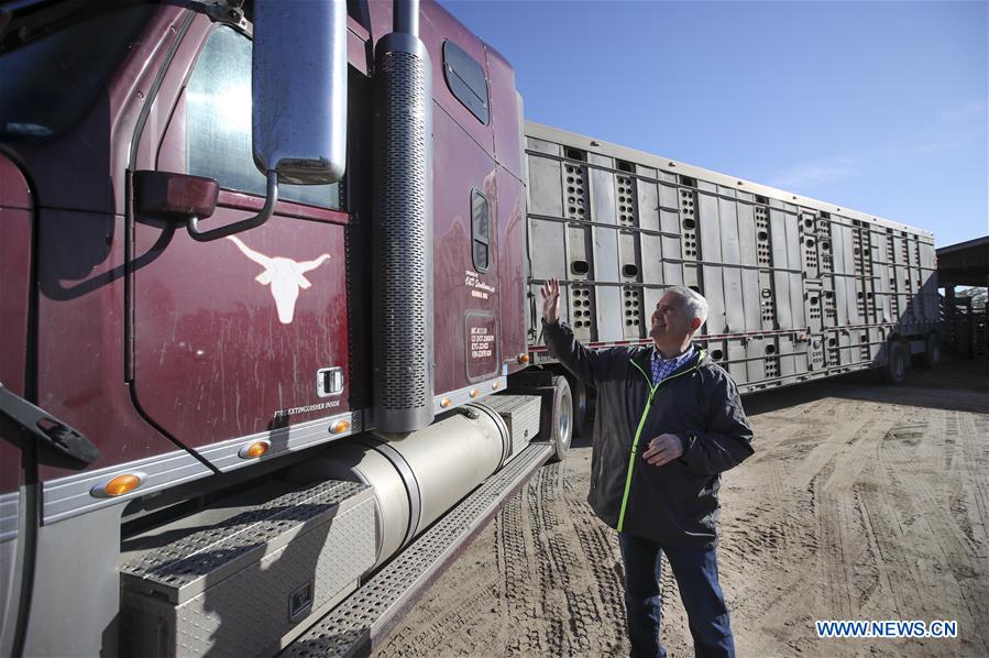 Xinhua Headlines: American cattle farmers eager to sell quality beef to China