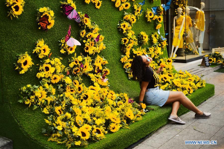 MEXICO-MEXICO CITY-FLOWERS AND GARDENS FESTIVAL