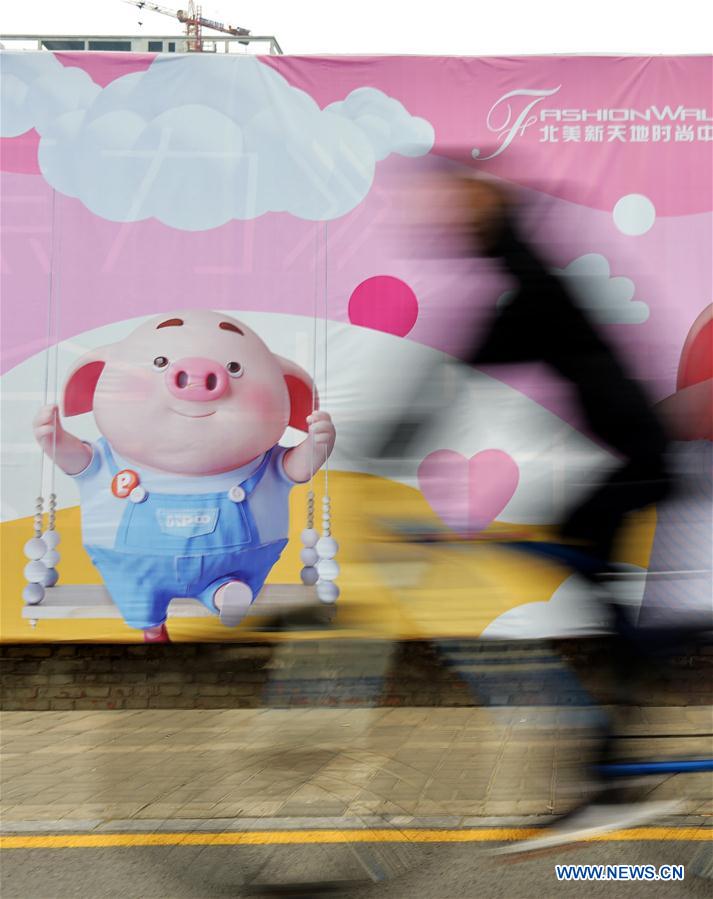 CHINA-YEAR OF PIG-BIRTHS-REBOUND(CN)