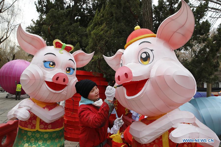 CHINA-YEAR OF PIG-BIRTHS-REBOUND(CN)