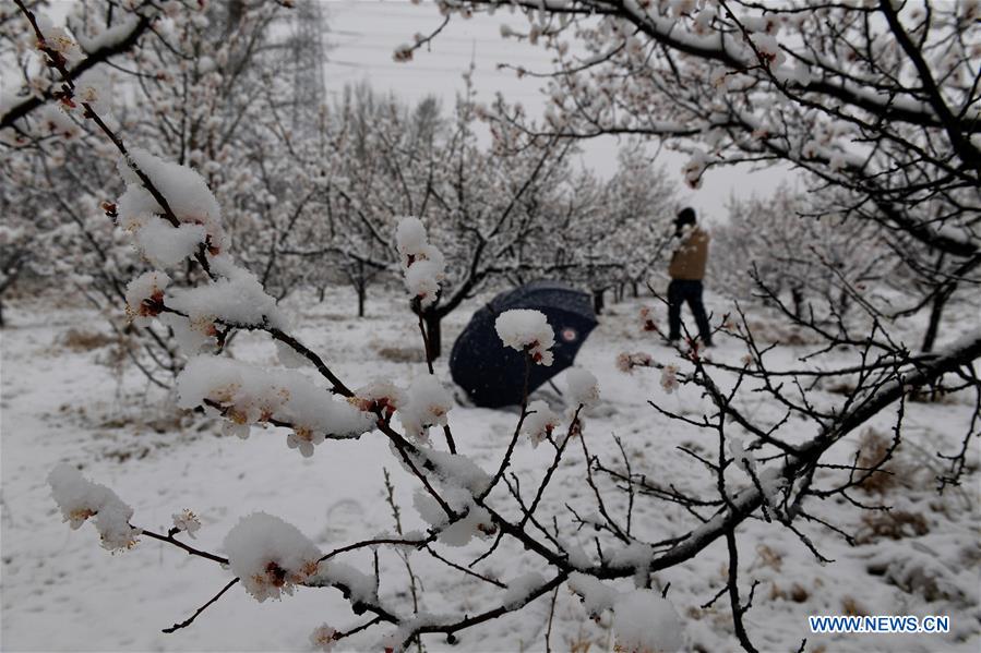 #CHINA-BEIJING-SNOWY SCENERY (CN)