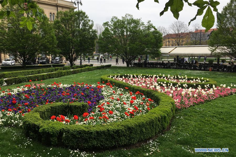 CROATIA-ZAGREB-SPRING-FLOWERS