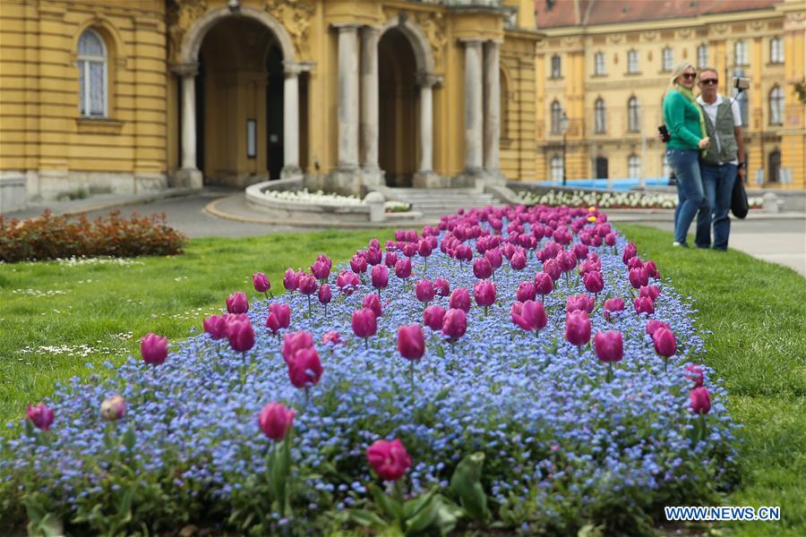 Flowers Bloom In Downtown Zagreb Croatia Xinhua English News Cn